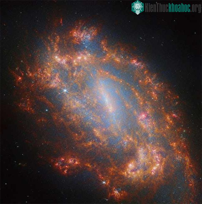 Thiên hà xoắn ốc NGC 1559