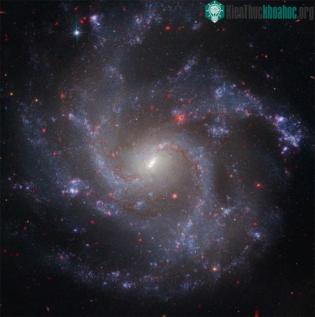 NGC 5468 - Thiên hà nằm cách Trái đất khoảng 130 triệu năm ánh sáng