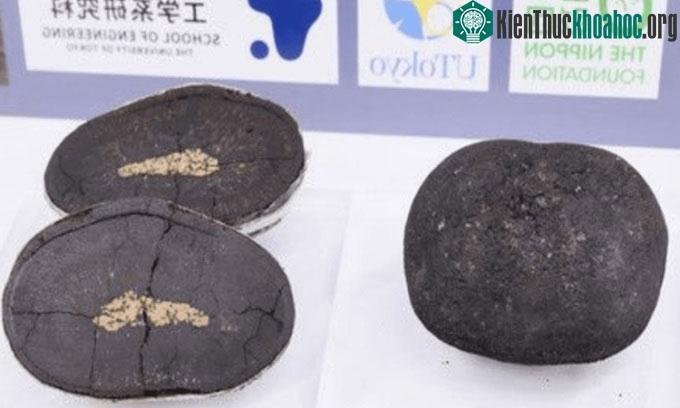 Mẫu vật khối kết hạch ở gần đảo Minami - Torishima.