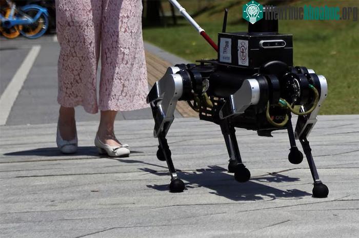 Chú chó robot dẫn đường được tích hợp công nghệ AI.