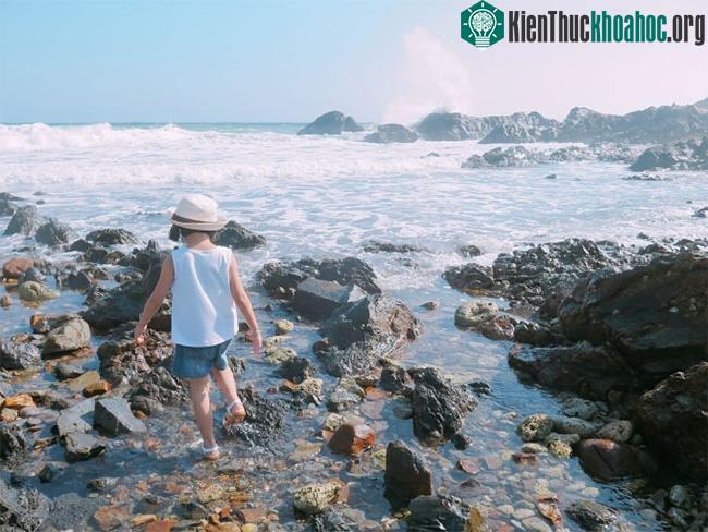 Cách phòng ngừa béo phì cho trẻ ảnh 0