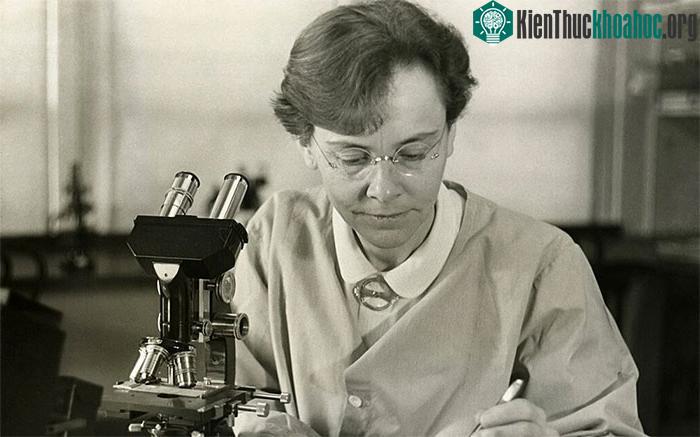 Chân dung nhà khoa học Barbara McClintock