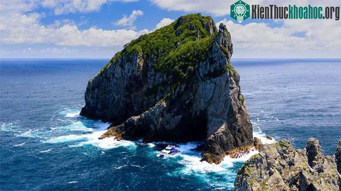 Nhiệt độ bề mặt nước biển đã tăng từ 0,63 đến 1,05 độ C ở vùng biển quanh New Zealand