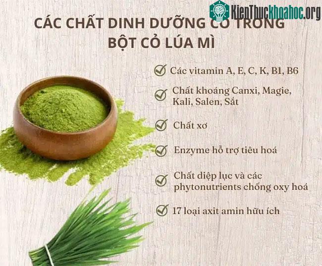 Các chất dinh dưỡng có trong cỏ lúa mì