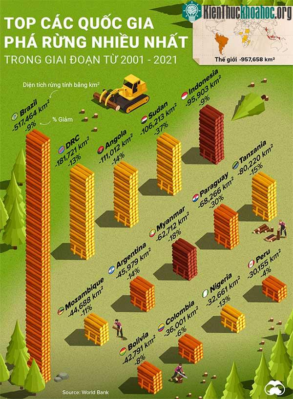 Những quốc gia phá rừng nhiều nhất