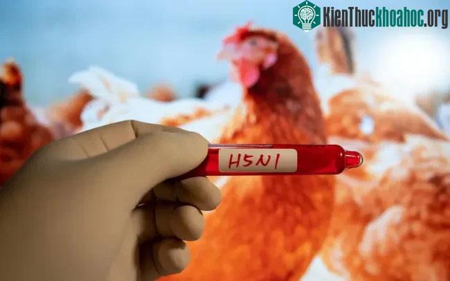 Nhà virus học Kawaoka cho biết có ý kiến cho rằng bản chất của virus có thể đã biến đổi.