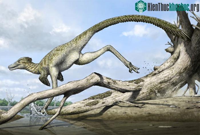 "Rồng cát" Harenadraco prima từng lang thang ở vùng đất nay là sa mạc Gobi