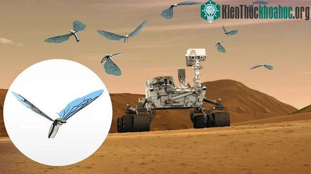 Sao Hỏa sẽ sớm chào đón những "vị khách" đặc biệt: đàn ong robot mô phỏng ong đất