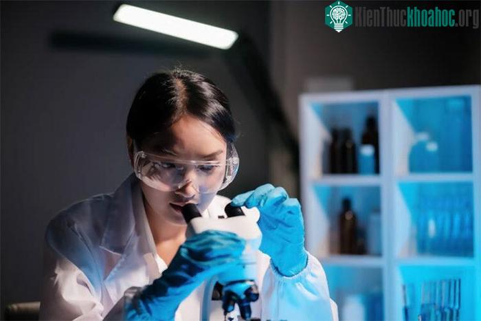 Nghiên cứu cho thấy, nấm Rhodosporidiobolus fluvialis có khả năng lây nhiễm sang người.