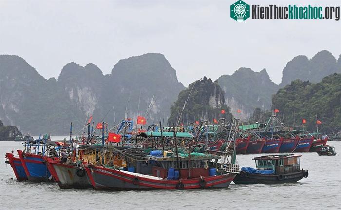 Hải Phòng và Quảng Ninh cấm biển từ 12h ngày 22/7, để ứng phó với bão số 2