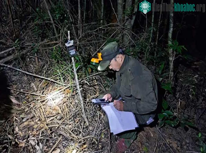 Nhân viên kiểm lâm