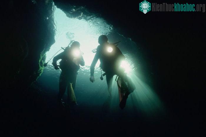 Đội đội trục vớt chuyên nghiệp Ocean X