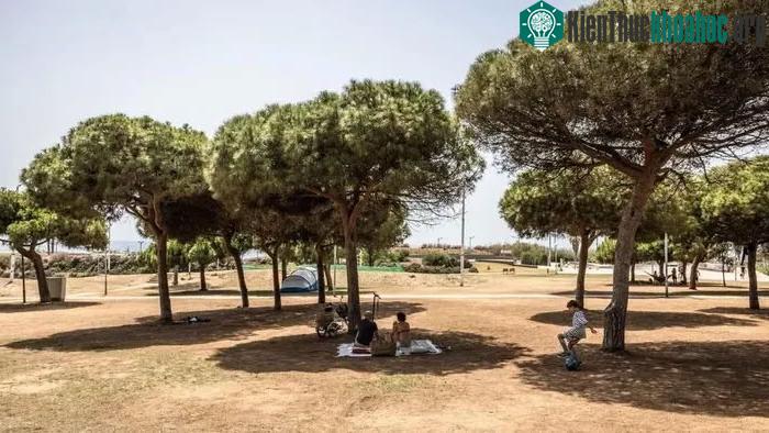 Người dân tại công viên Poblenou của Barcelona.