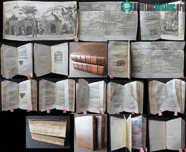 Di sản khám phá tự nhiên của Dampier là kho báu khổng lồ.
