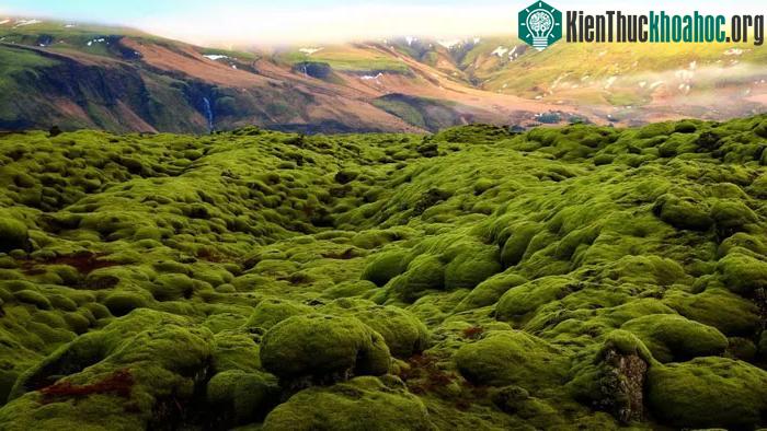 Hòn đảo nằm trên đỉnh Mid-Atlantic Ridge, ranh giới Bắc Mỹ và Á - Âu gặp nhau.