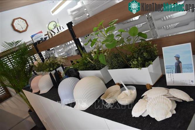 Mũ bảo hiểm Shellmet được trưng bày tại Công ty công nghiệp hóa chất Koushi.