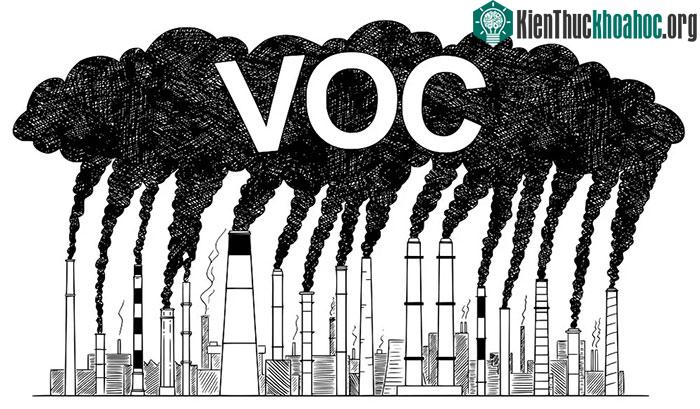 Cây cối có trở thành nguồn ô nhiễm tiềm ẩn? ảnh 1