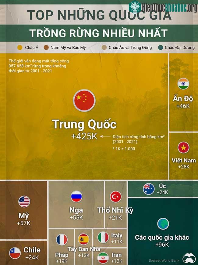 Những quốc gia trồng rừng nhiều nhất