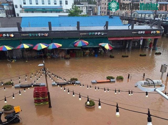 Chợ truyền thống Dangjin bị ngập do mưa lớn ở Dangjin, tỉnh Chungcheong Nam