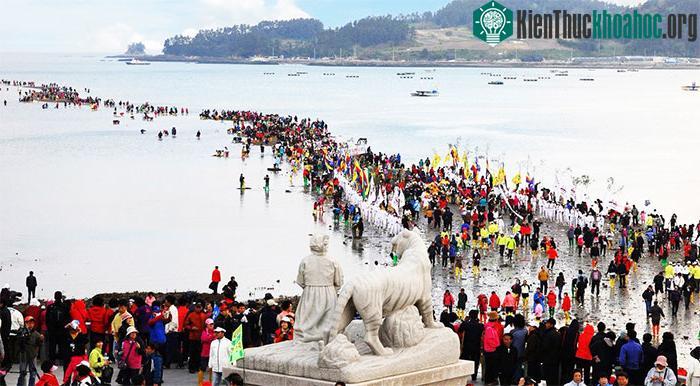 Con đường giữa biển 1 năm chỉ xuất hiện hiếm hoi thu hút đông đảo du khách ở Hàn Quốc