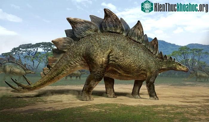 Hình ảnh mô phỏng về loài khủng long Stegosaurus.