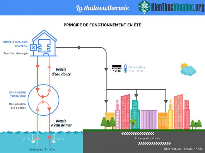 Sơ đồ hoạt động hệ thống thalassothermy để làm mát các tòa nhà