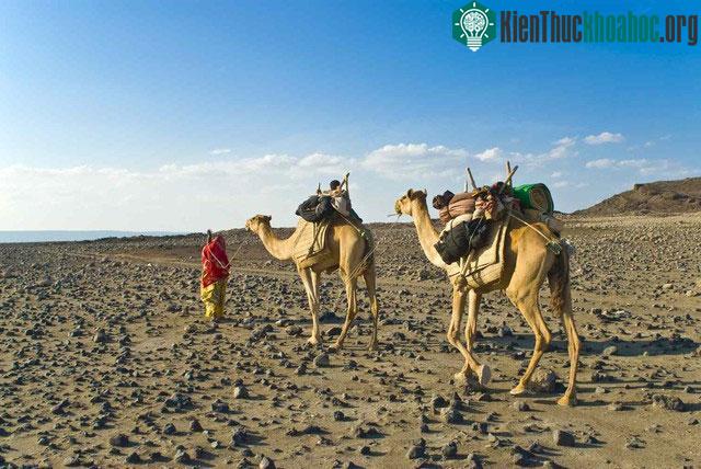 Đất nước Djibouti