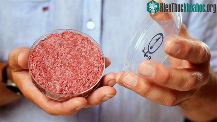Đa số thịt nhân tạo đang được bán với giá cao vì chi phí sản xuất lớn.