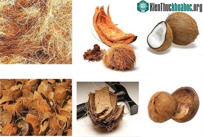 Video: Cách làm đường bằng xơ dừa của các kỹ sư Ấn Độ ảnh 1