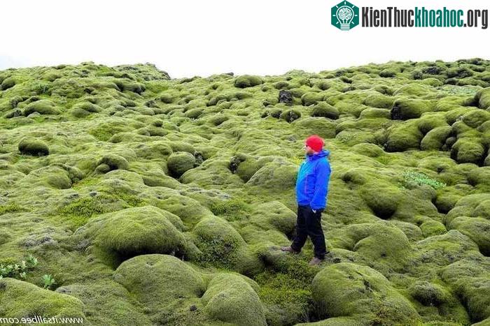 Dòng nham thạch có một không hai của Iceland ảnh 10