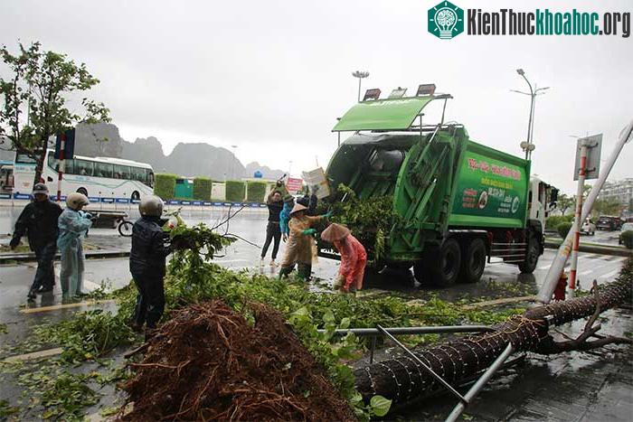 Những thiệt hại ban đầu khi bão số 2 đổ bộ Quảng Ninh-Hải Phòng ảnh 10