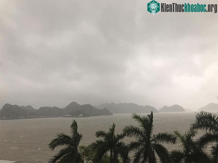 Những thiệt hại ban đầu khi bão số 2 đổ bộ Quảng Ninh-Hải Phòng ảnh 11