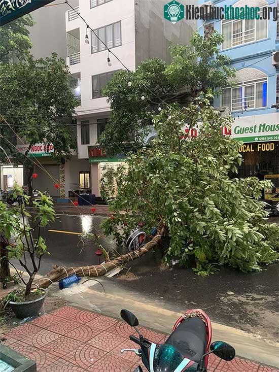 Những thiệt hại ban đầu khi bão số 2 đổ bộ Quảng Ninh-Hải Phòng ảnh 12