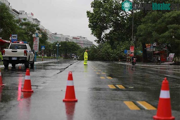 Những thiệt hại ban đầu khi bão số 2 đổ bộ Quảng Ninh-Hải Phòng ảnh 15