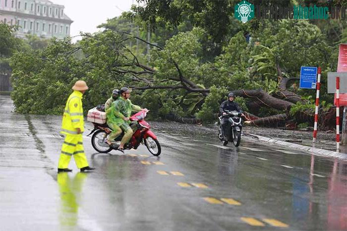 Những thiệt hại ban đầu khi bão số 2 đổ bộ Quảng Ninh-Hải Phòng ảnh 16