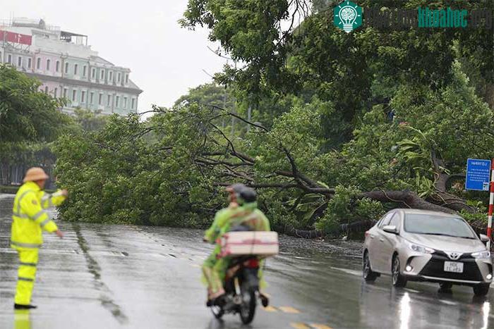 Những thiệt hại ban đầu khi bão số 2 đổ bộ Quảng Ninh-Hải Phòng ảnh 17