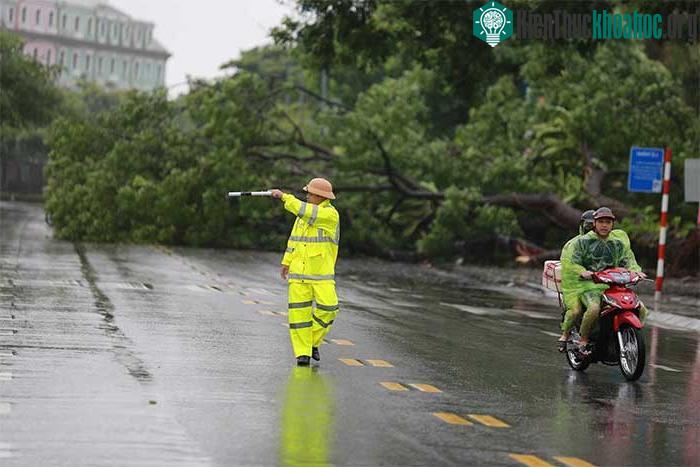 Những thiệt hại ban đầu khi bão số 2 đổ bộ Quảng Ninh-Hải Phòng ảnh 18