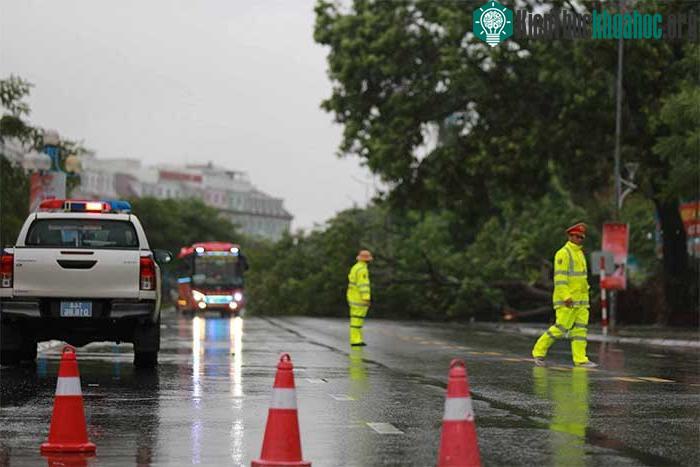 Những thiệt hại ban đầu khi bão số 2 đổ bộ Quảng Ninh-Hải Phòng ảnh 19
