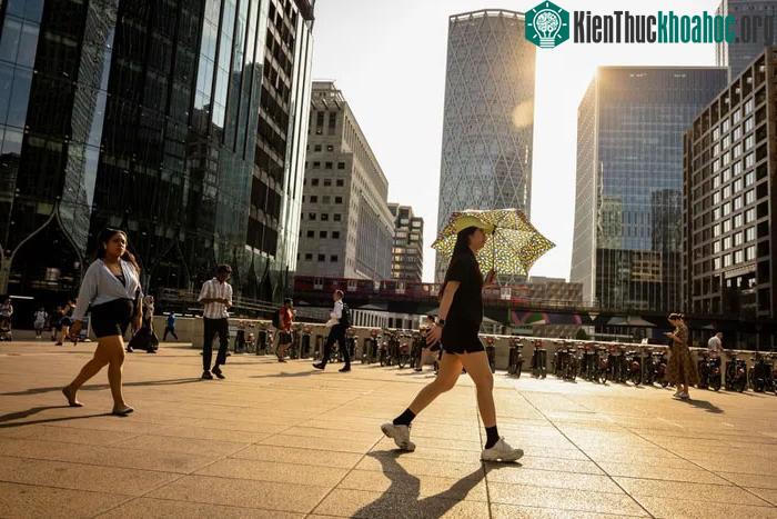 Những đợt nắng nóng bất thường đang bao trùm nhiều thành phố trên thế giới.