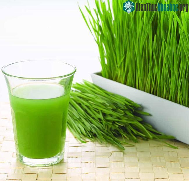Cỏ lúa mì ngăn cản hình thành axit trong cơ thể bằng cách cung cấp các khoáng chất kiềm