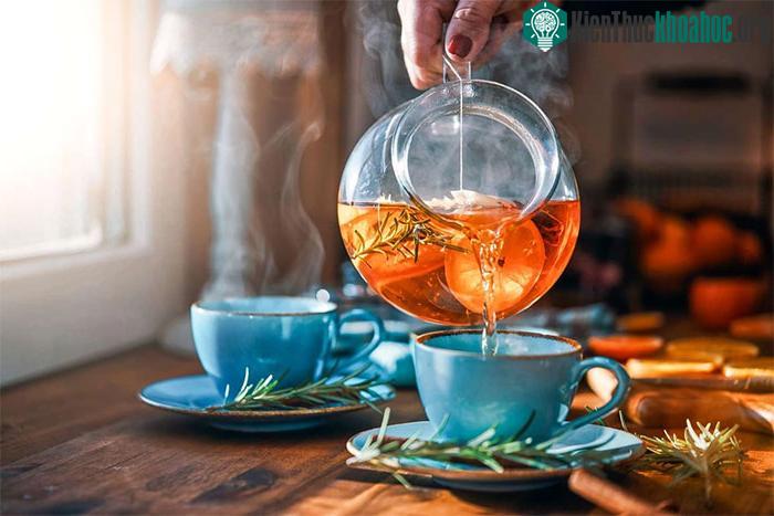Trà được coi là thức uống trường thọ