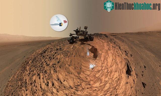 Marsbees, có kích thước tương đương ong đất nhưng cánh giống ve sầu