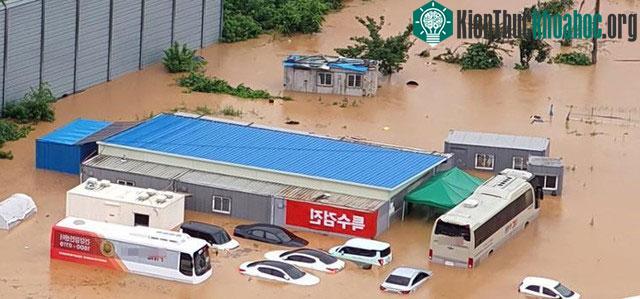 Các phương tiện bị ngập trong mưa lớn ở Pyeongtaek, tỉnh Gyeonggi