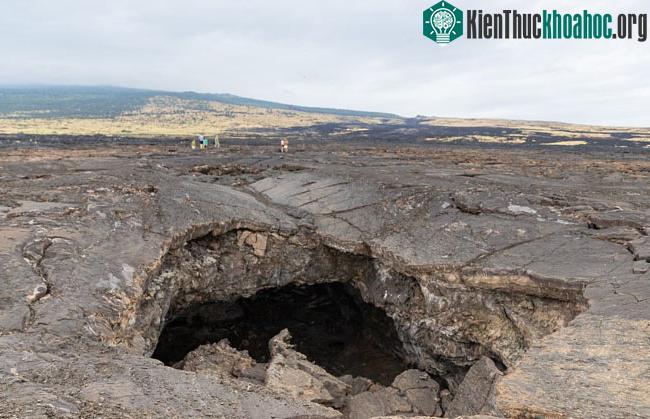 Hình ảnh lối vào một ống dung nham trên Đảo Lớn của Hawaii.