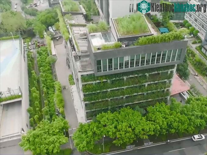 Nhà Trùng Khánh ở Khu vực mới Liangjiang phủ đầy cây xanh.