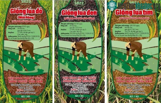 Ba giống gạo màu do nhóm nghiên cứu lai tạo thành công.