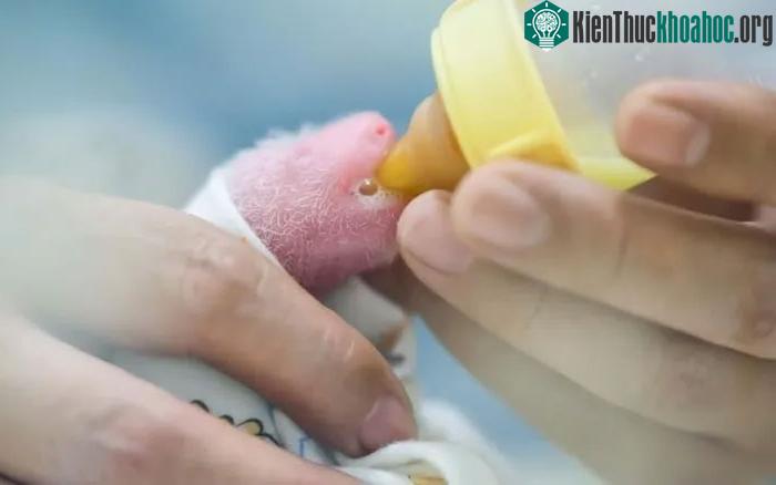 Từ video được đăng vào thứ Bảy (18/7) về một chú gấu con đang được cho ăn.