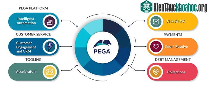 Pega Platform – Phần mềm quản lý ứng dụng kinh doanh của doanh nghiệp