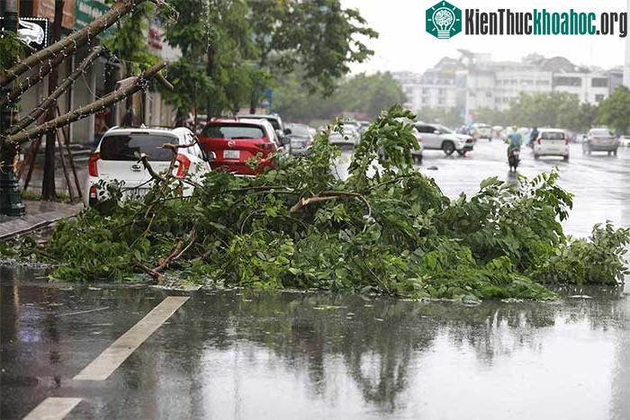 Những thiệt hại ban đầu khi bão số 2 đổ bộ Quảng Ninh-Hải Phòng ảnh 24