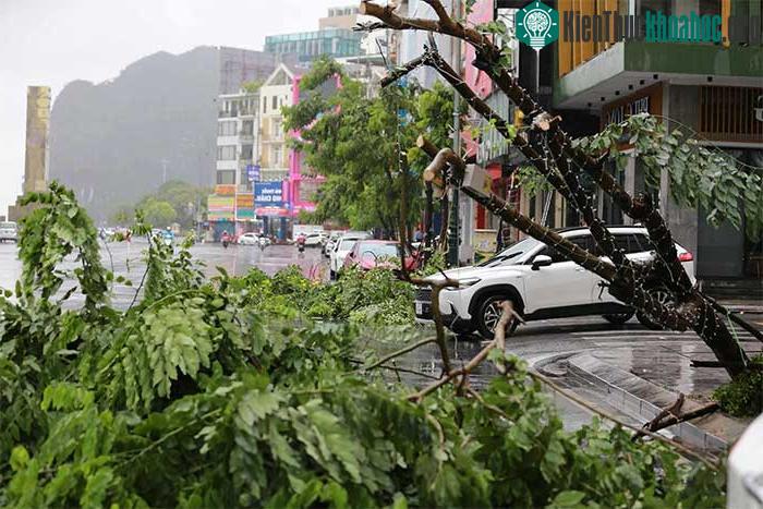 Những thiệt hại ban đầu khi bão số 2 đổ bộ Quảng Ninh-Hải Phòng ảnh 25